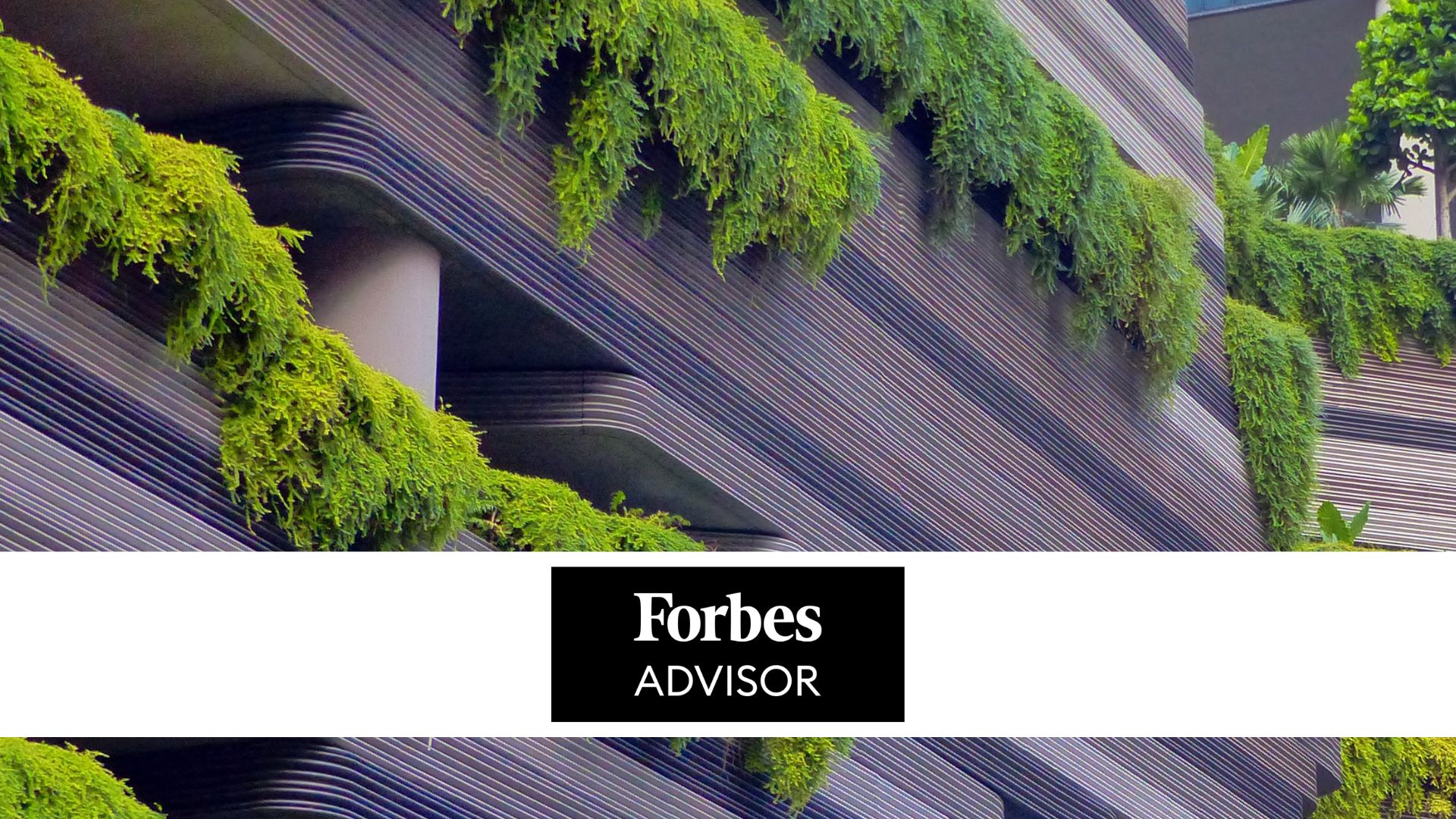 Forbes-advisor-SRI